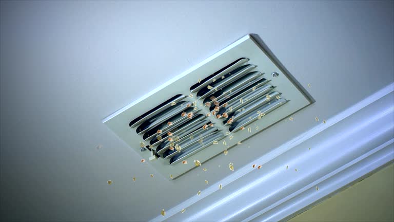 Air Duct Mold Removal in Parkersburg, WV